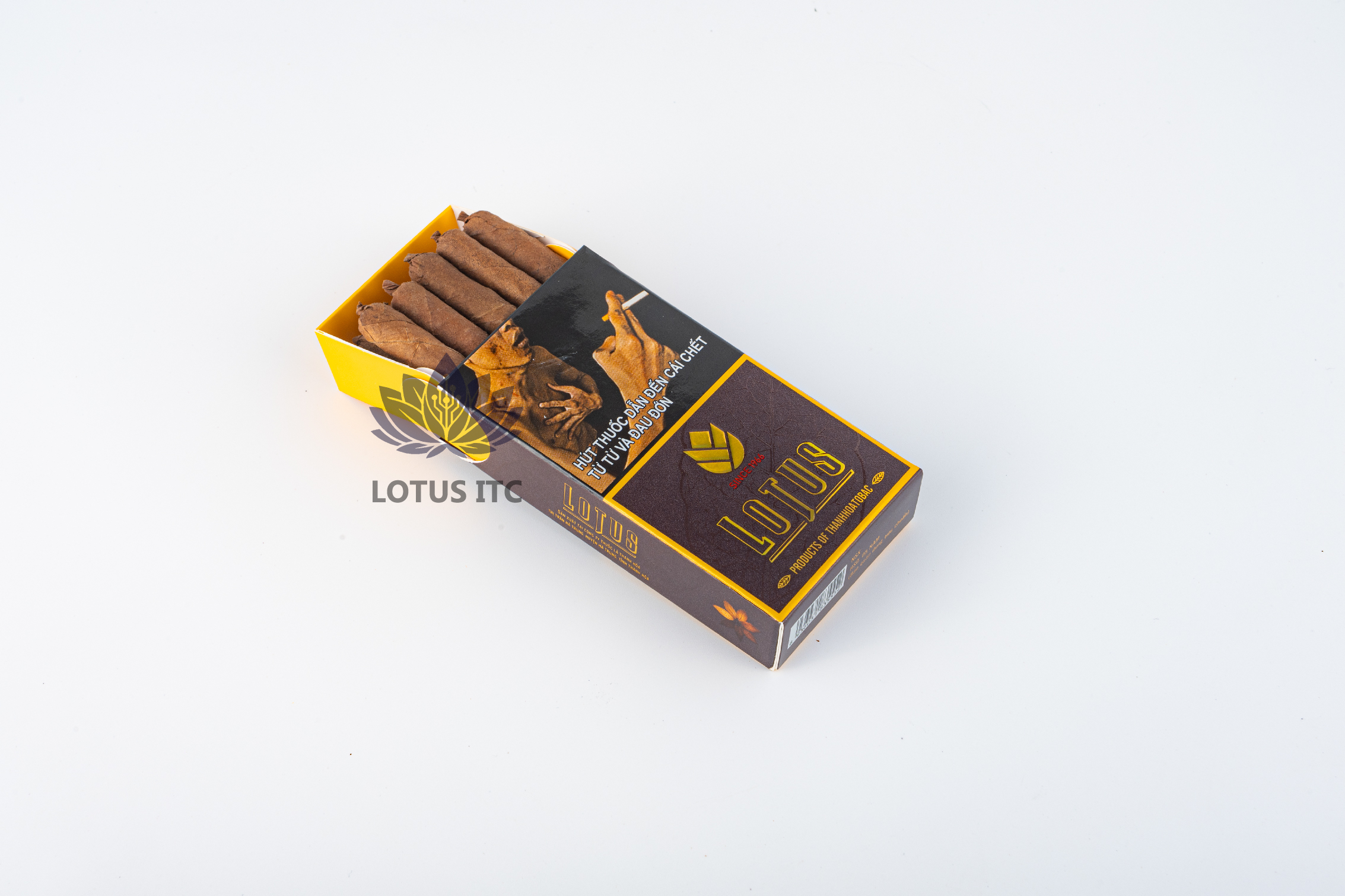 Cigar LOTUS CLUB (Hộp giấy 10 điếu) (1 Cây/10 Hộp)